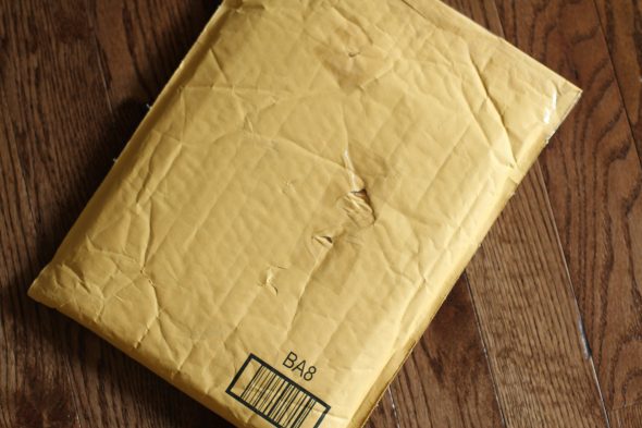 padded envelope package