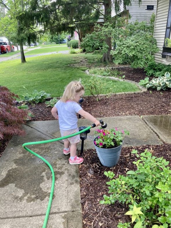 little girl watering plants.