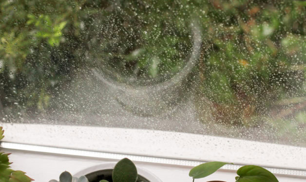 raindrops on a window.